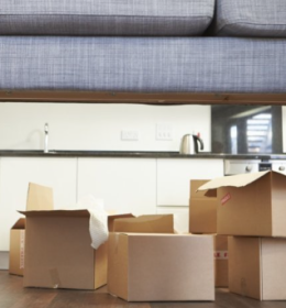 Сборка и разборка мебели